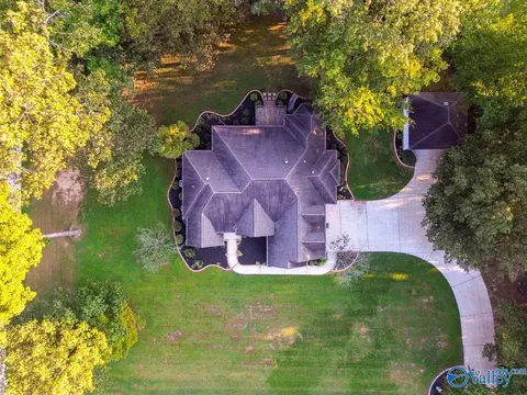 View/Area - 446 Forest Home Dr, Trinity, AL 35673 photo 1 of 4