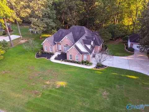 View/Area - 446 Forest Home Dr, Trinity, AL 35673 photo 3 of 4