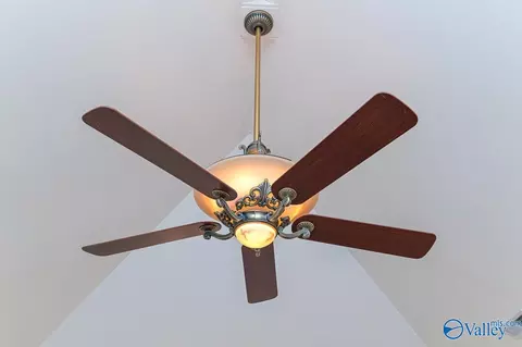 Other - 446 Forest Home Dr, Trinity, AL 35673 photo 9 of 10
