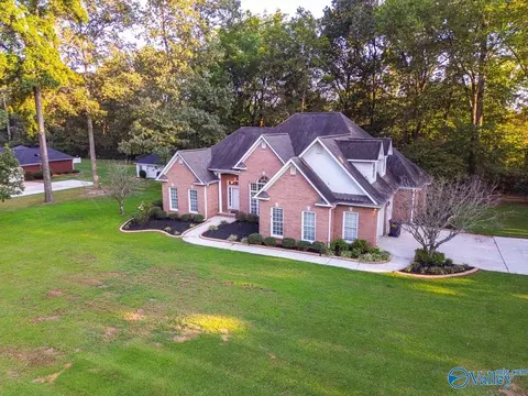 View/Area - 446 Forest Home Dr, Trinity, AL 35673 photo 2 of 4