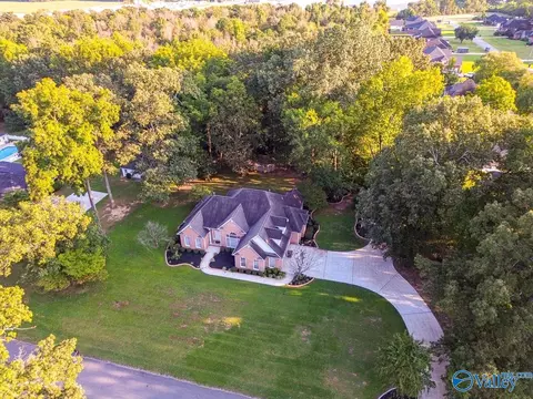 View/Area - 446 Forest Home Dr, Trinity, AL 35673 photo 4 of 4