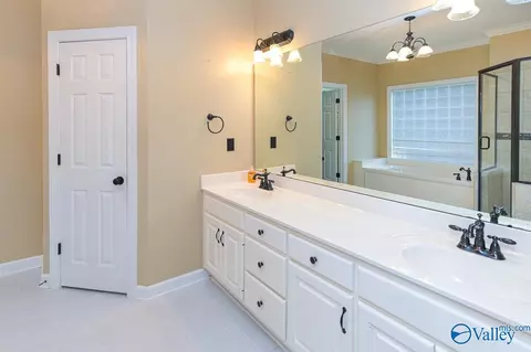 Bath - 446 Forest Home Dr, Trinity, AL 35673 photo 2 of 6