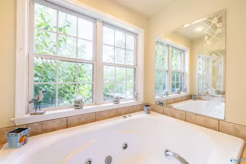 Bath - 2000 Buttahatchee Dr, Hamilton, AL 35570 photo 5 of 9