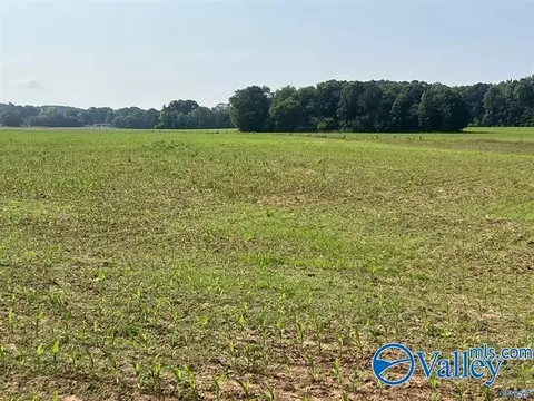 1 Old Railroad Bed Road, Harvest, AL 35749
