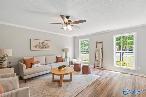 Living - 343 2nd Ave, Grant, AL 35747 photo 3 of 4