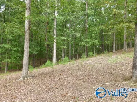 9 Spindletop Dr, Guntersville, AL 35976