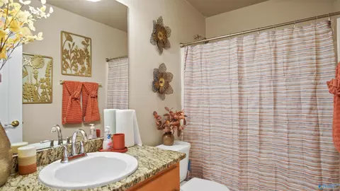 Bath - 115 Hidden Creek Dr, Trinity, AL 35673 photo 3 of 4