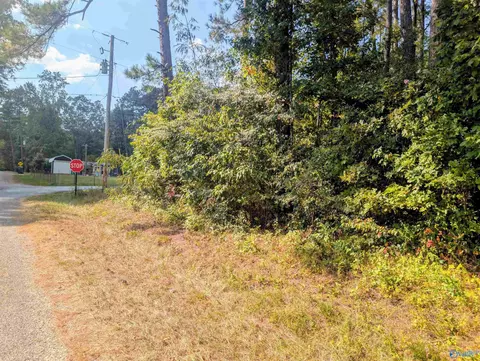 lot1 County Road 249, Leesburg, AL 35983