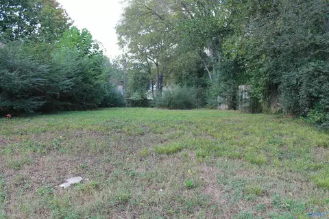 1508 Chestnut St, Decatur, AL 35601
