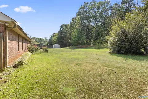 179 County Road 390, Trinity, AL 35673 photo 22