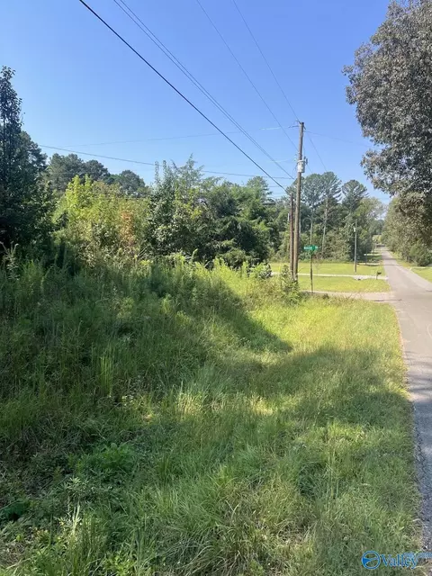 297 Benson Rd, Somerville, AL 35670