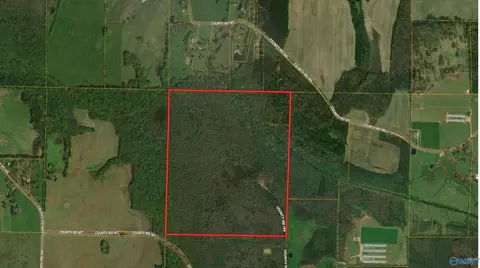 160 Acres County Road 167, Moulton, AL 35650