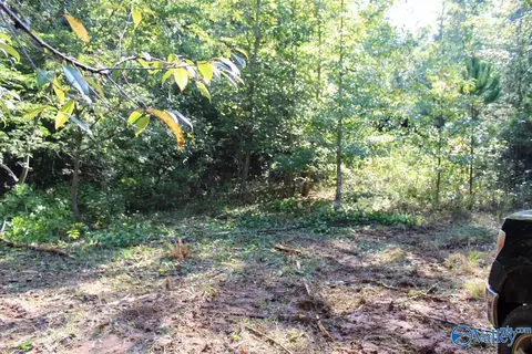 12 19 Jerry St, Fort Payne, AL 35967
