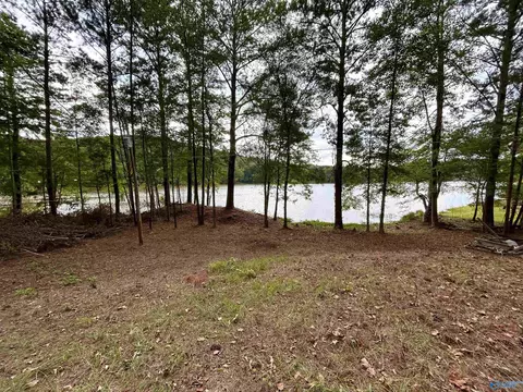 36 William Pl, Ohatchee, AL 36271 photo 22