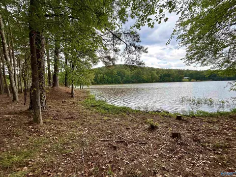 36 William Pl, Ohatchee, AL 36271 photo 1