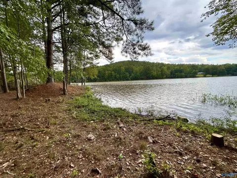 36 William Pl, Ohatchee, AL 36271 photo 23