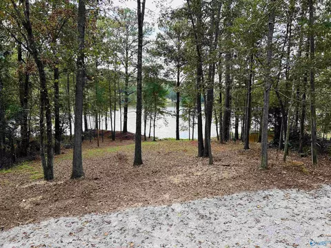 36 William Pl, Ohatchee, AL 36271 photo 24