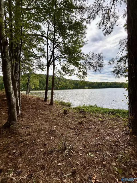 36 William Pl, Ohatchee, AL 36271 photo 25
