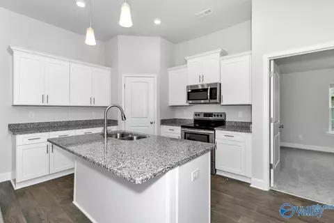 Kitchen - 28880 Nature Trail Dr, Harvest, AL 35749 photo 5 of 6