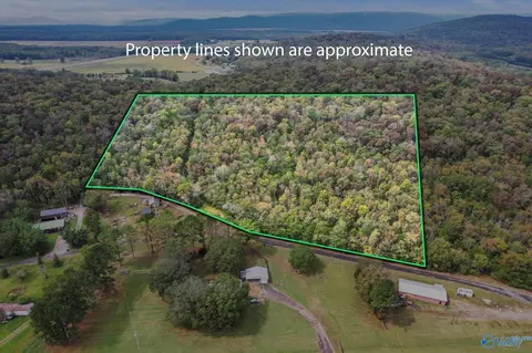 17 Acres Old Grant Rd, Woodville, AL 35776
