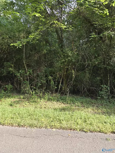 991 Laurel St, Decatur, AL 35603