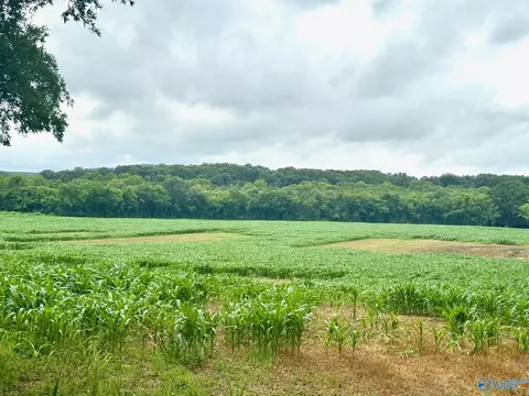 41 Acres County Lake Rd, Gurley, AL 35748