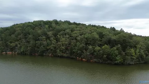 1 Highway 273, Leesburg, AL 35983