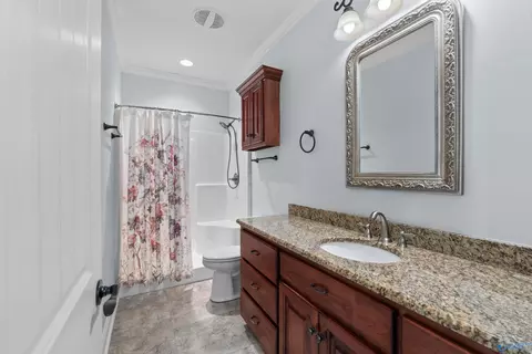 Bath - 93 Bell Dr, Trinity, AL 35673 photo 4 of 4