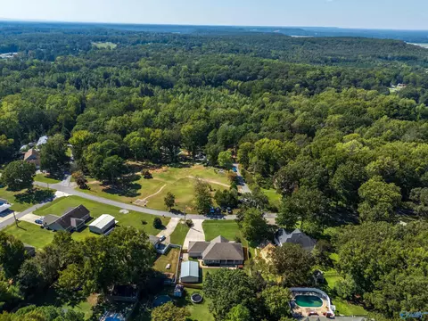View/Area - 93 Bell Dr, Trinity, AL 35673 photo 6 of 8