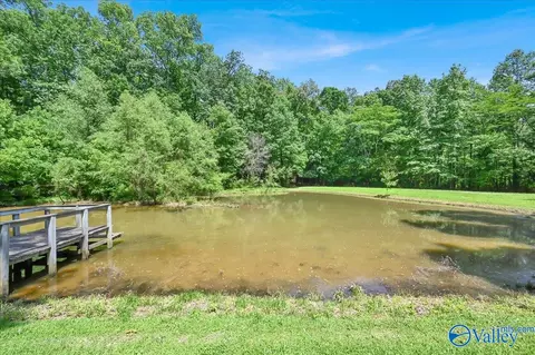 1920 Warnke Rd, Cullman, AL 35055 photo 31