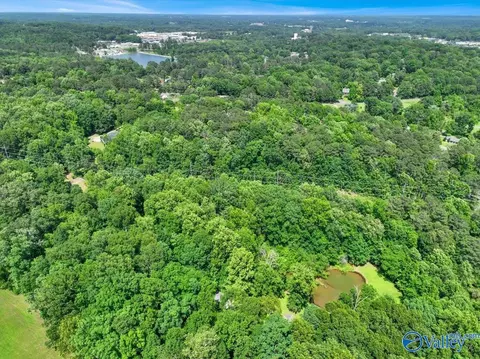 1920 Warnke Rd, Cullman, AL 35055 photo 9