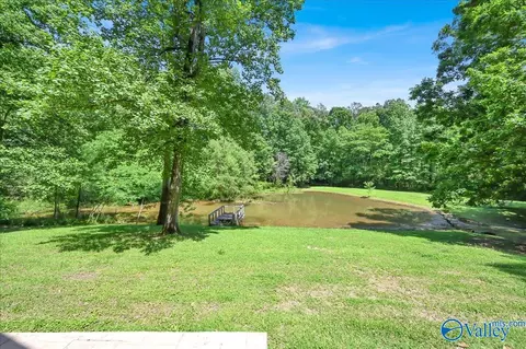 1920 Warnke Rd, Cullman, AL 35055 photo 30