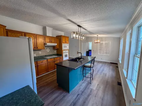 714 County Road 317, Trinity, AL 35673 photo 7