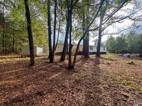 714 County Road 317, Trinity, AL 35673 photo 33
