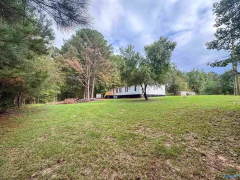714 County Road 317, Trinity, AL 35673 photo 32