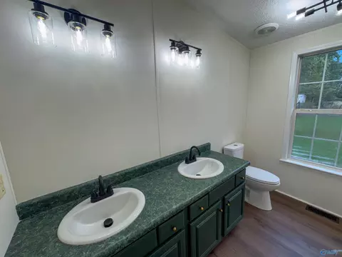 714 County Road 317, Trinity, AL 35673 photo 29