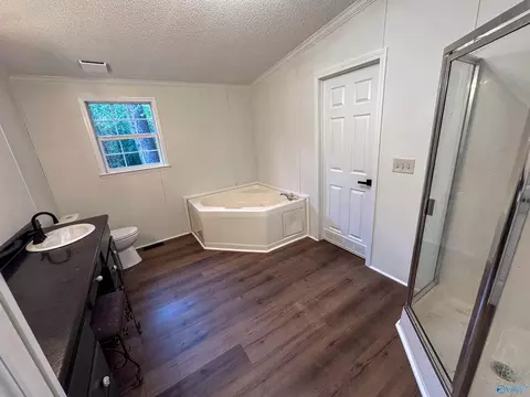 714 County Road 317, Trinity, AL 35673 photo 23