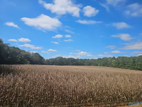 lot0 Landess Cir, Triana, AL 35758