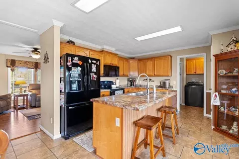 275 County Road 606, Section, AL 35771 photo 29