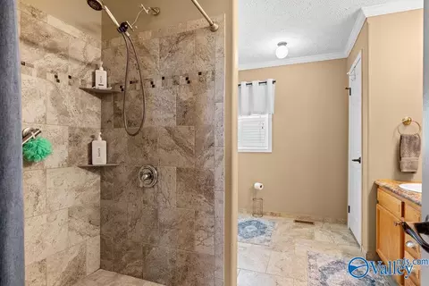 275 County Road 606, Section, AL 35771 photo 32