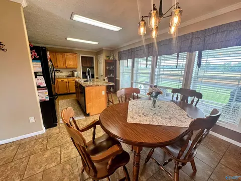 275 County Road 606, Section, AL 35771 photo 26