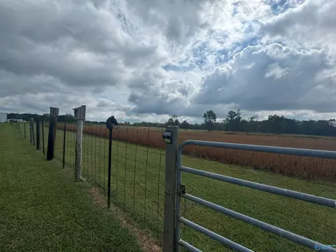 275 County Road 606, Section, AL 35771 photo 13