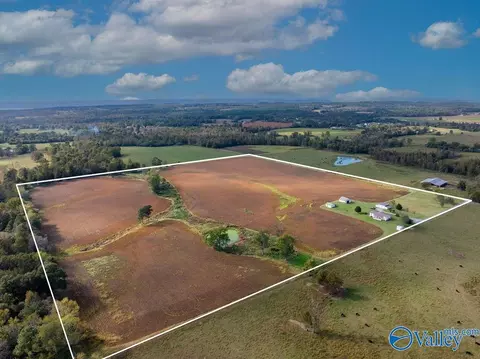 275 County Road 606, Section, AL 35771 photo 9