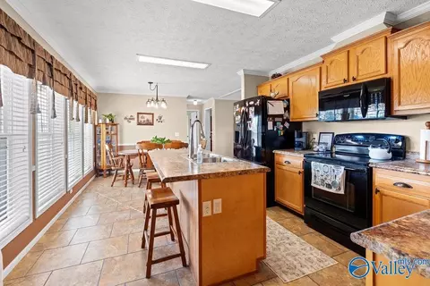 275 County Road 606, Section, AL 35771 photo 28