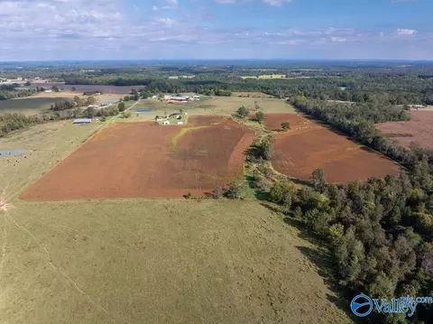 275 County Road 606, Section, AL 35771 photo 41