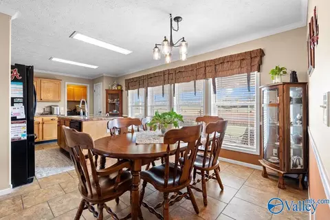 275 County Road 606, Section, AL 35771 photo 25