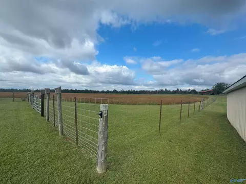 275 County Road 606, Section, AL 35771 photo 5