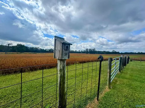 275 County Road 606, Section, AL 35771 photo 4