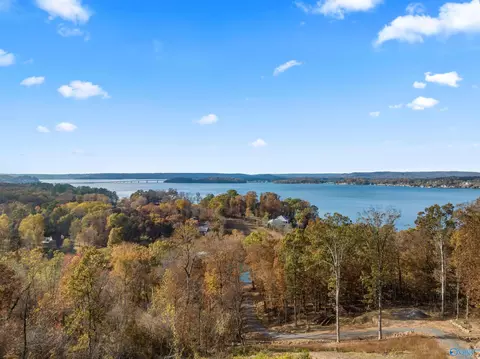 6 48 Acres Signal Point Rd, Guntersville, AL 35976