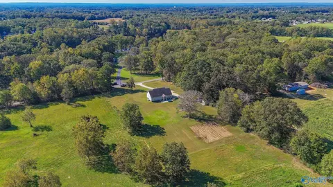 View/Area - 567 County Road 386, Trinity, AL 35673 photo 2 of 3